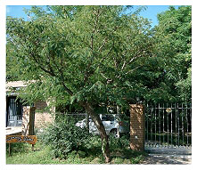 naturaleza